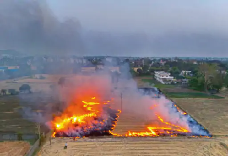 पराली जलाने पर कार्रवाई क्यों नहीं? सुप्रीम कोर्ट ने 3 हफ्ते में मांगा जवाब