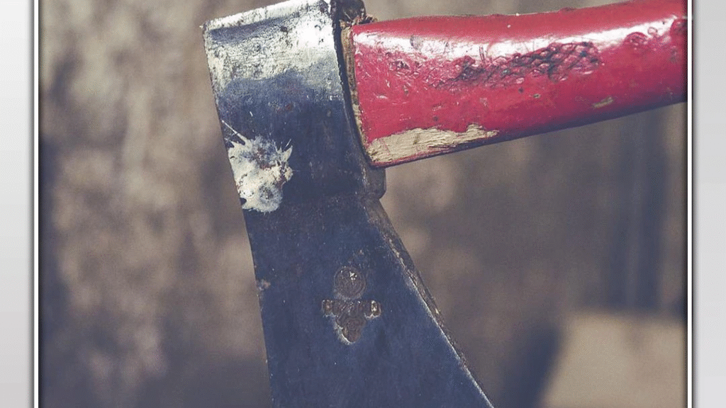 Murder of Mother : जादू-टोना के शक में बेटे ने कुल्हाड़ी से मां की हत्या की