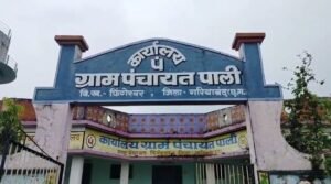 ग्राम पंचायत पाली