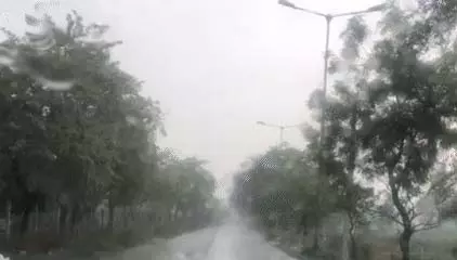 chhattisgarh weather update: फसल पर पड़ेगा असर? किसानों के लिए वरदान या संकट बनी बारिश