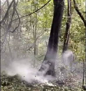 Naxalite conspiracy failed: सुरक्षा बलों ने बरामद किया 5 किलो IED