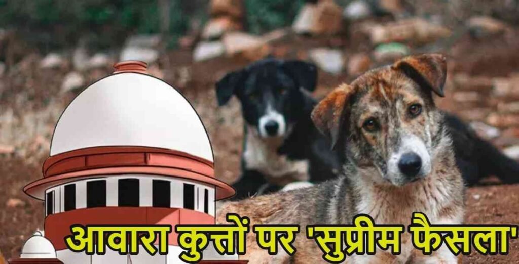 Supreme Court Verdict On Stray Dogs : छत्तीसगढ़ समेत सभी राज्यों को आदेश – 8 हफ्ते में हटाएं सड़कों से आवारा कुत्ते Supreme Court Verdict On Stray Dogs