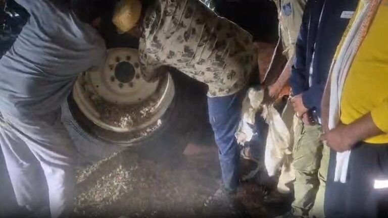 Narayangarh police karravaee : ट्रैक्टर के टायरों में छिपाया 150 किलो डोडा चूरा, पुलिस ने किया पर्दाफाश! Narayangarh police karravaee
