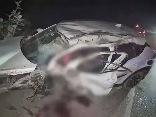 Raigarh Road Accident : खड़े ट्रक से टकराई कार, शिक्षक की जान गई Raigarh Road Accident