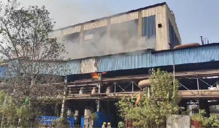 Bhilai Steel Plant : BSP में भीषण आग पावर स्टेशन-2 में गैस रिसाव से मचा हड़कंप