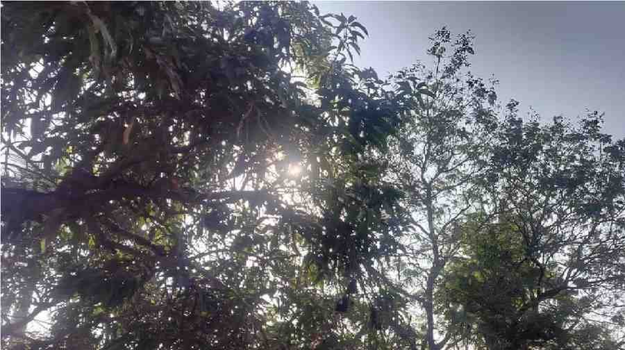 Chhattisgarh Weather : शीतलहर का असर कम होते ही मौसम में आया बदलाव, ठंड से मिलेगी राहत