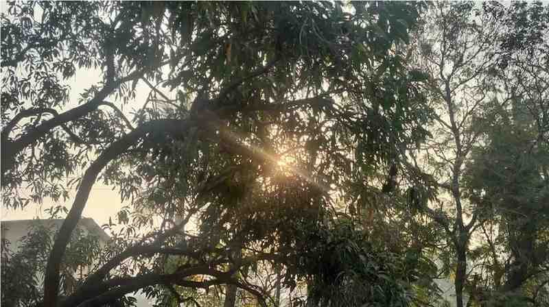 Weather Changed : सर्दी हुई कमजोर, न्यूनतम तापमान में बढ़ोतरी से लोगों को राहत