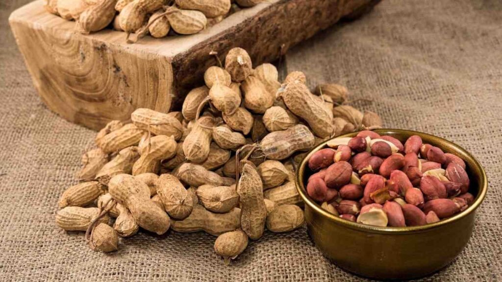 Peanuts Side Effects : स्वाद के चक्कर में कहीं बिगाड़ न लें सेहत, इन 5 तरह के लोगों के लिए ‘जहर’ है मूंगफली