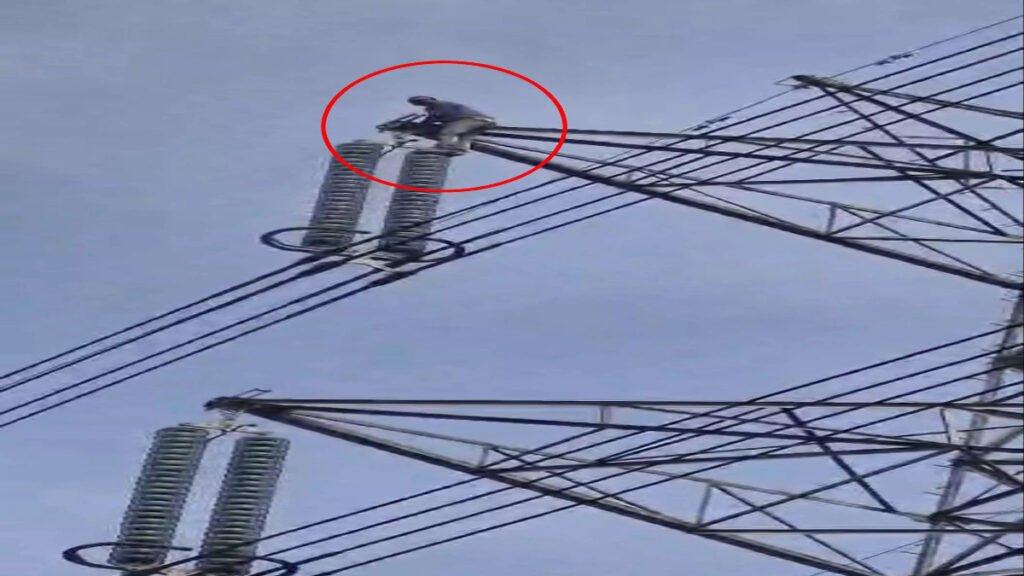 Chhattisgarh Dhan Khareedi : जांजगीर-चाम्पा में धान टोकन विवाद किसान 200 फीट हाई-वोल्टेज टावर पर चढ़ा, VIDEO सामने आया