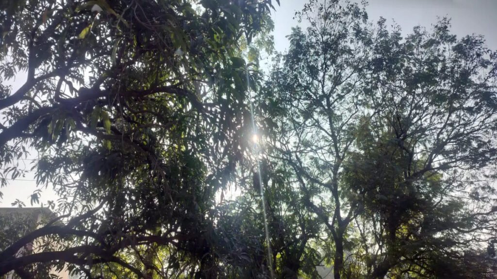 रायपुर समेत कई जिलों में कोल्ड वेव का असर, मकर संक्रांति तक ठंड से राहत नहीं