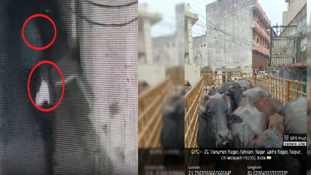 RAIPUR NEWS : रायपुर में देर रात गैंगवार, भाठागांव में गंदगी की शिकायत पर नगर निगम की कार्रवाई