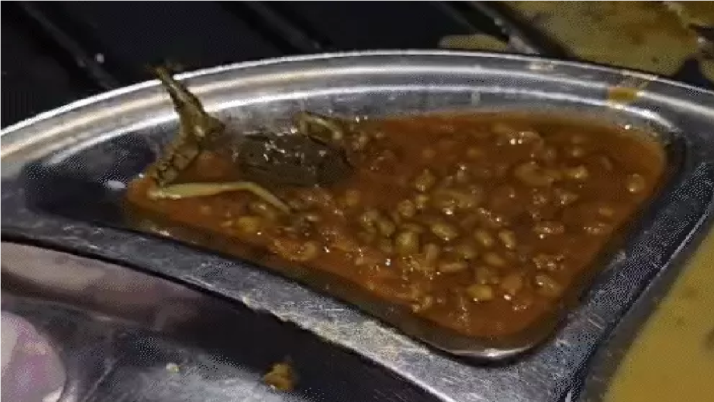 Dental College Mess : छात्रों की सेहत से खिलवाड़, चावल में मिली इल्ली और सब्जी में गंदगी