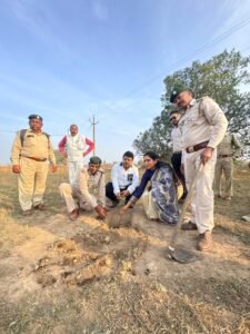 वन्य प्राणी संरक्षण