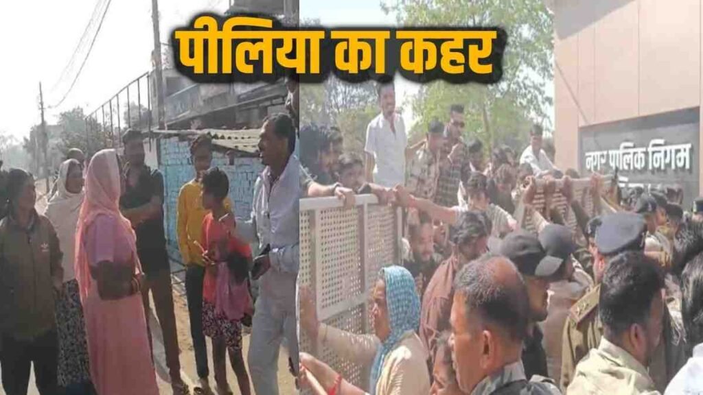 CG Breaking News : हेल्थ इमरजेंसी जैसे हालात पीलिया से दो मौतों के बाद जागा नगर निगम, पाइपलाइन की जांच शुरू CG Breaking News