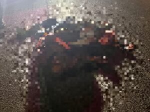 खरखरा पुल सड़क हादसा