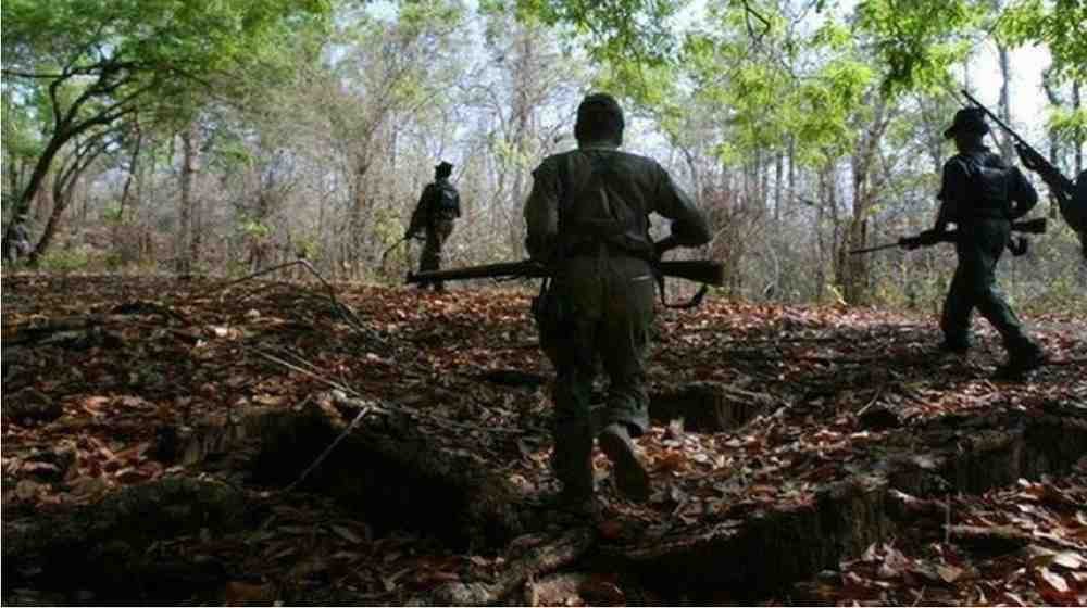 CG News : जंगल में छूटी नक्सलियों की गन महाराष्ट्र-छग सीमा पर हिड़मे की तलाश तेज, सर्चिंग जारी CG News