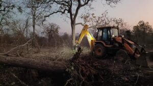 गरियाबंद पेड़ कटाई मामला