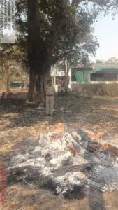 छुरा फॉरेस्ट रेंज न्यूज