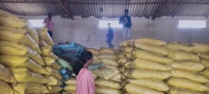 उर्वरक जमाखोरी कार्रवाई