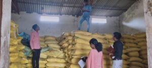 कृषि विभाग छत्तीसगढ़