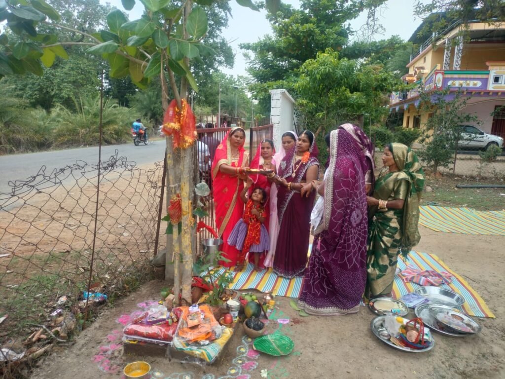 चितालूर वट सावित्री पर्व