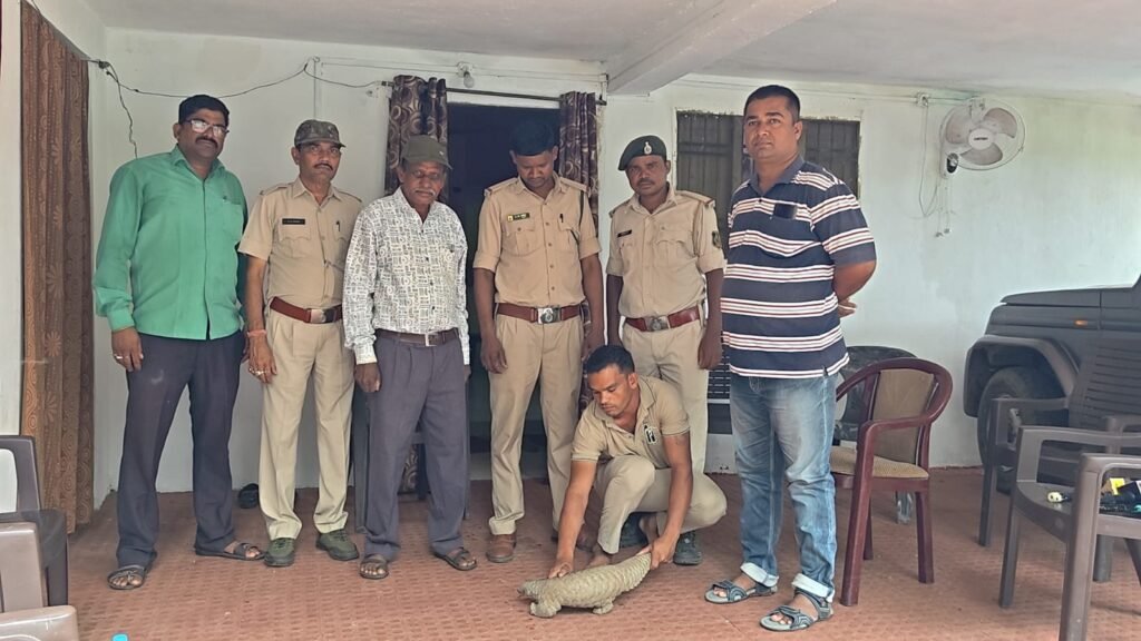 दुर्लभ पैंगोलिन
