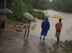 नदी नाले उफान पर