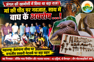 आलापल्ली वन विभाग