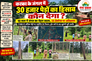 उदंती सीतानदी वन कटाई