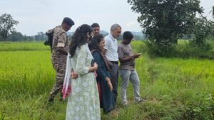 धान की फसल निरीक्षण