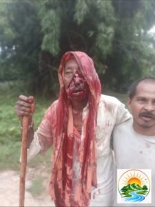 रसेला भालू हमला 1