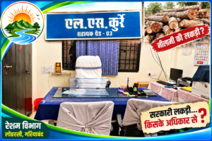 लकड़ी बिक्री मामला