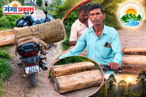 सुकलीभांटा सागौन लकड़ी